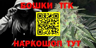 молекула духа Пугачёв