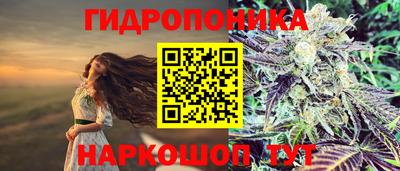 молекула духа Пугачёв