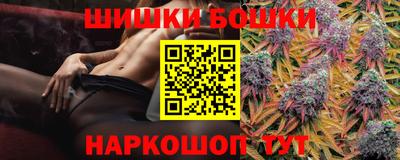 молекула духа Пугачёв