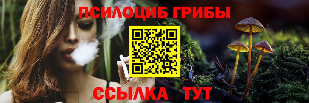 Галлюциногенные грибы прущие грибы  Галлюциногенные грибы GOLDEN TEACHER  Ангарск  Вход с VPN 
